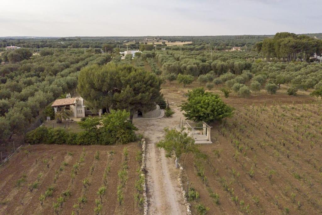 Villa Principe Degli Olivi Maruggio Εξωτερικό φωτογραφία