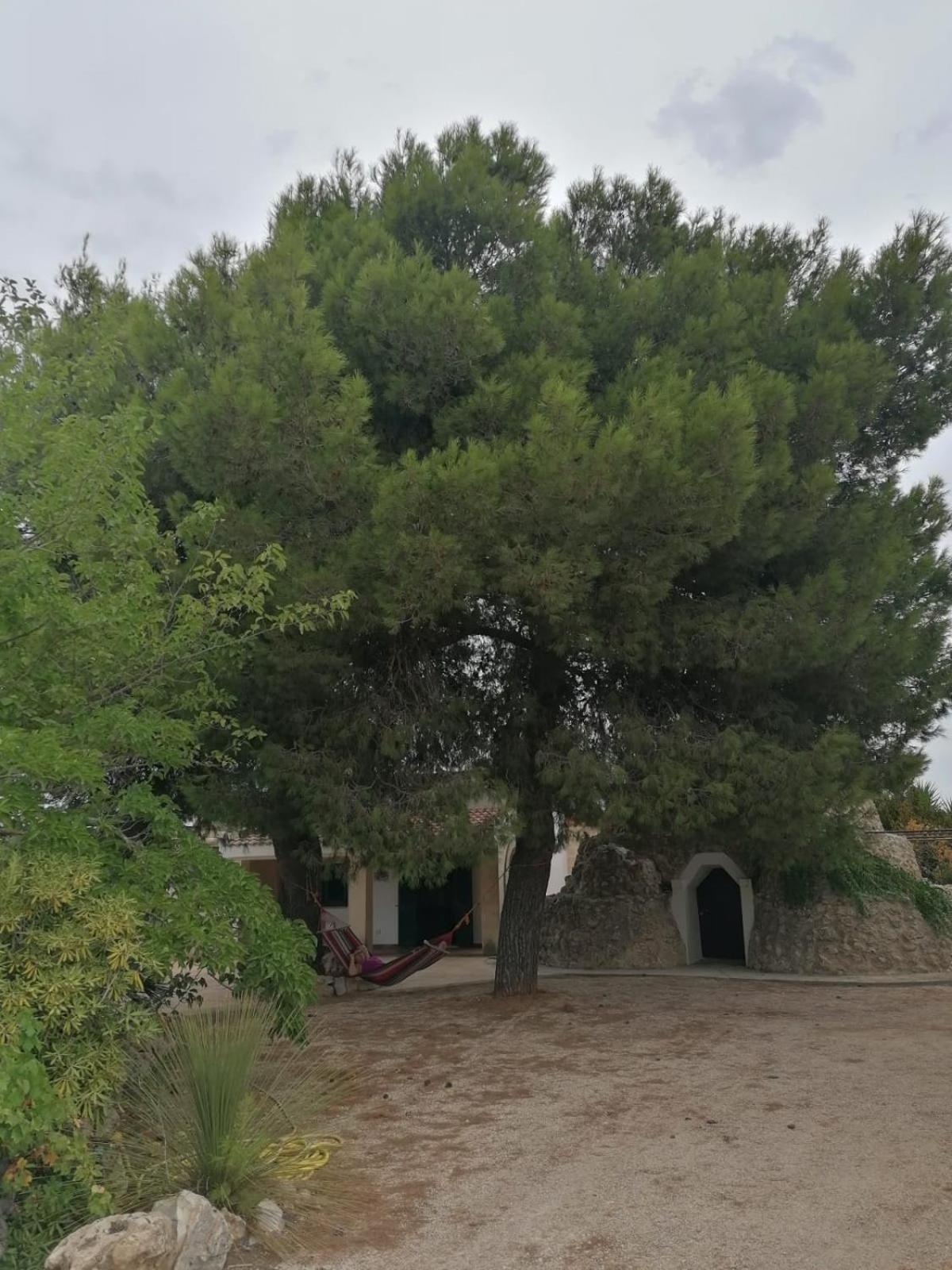 Villa Principe Degli Olivi Maruggio Εξωτερικό φωτογραφία